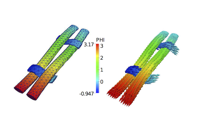 Potential field and fibres directions